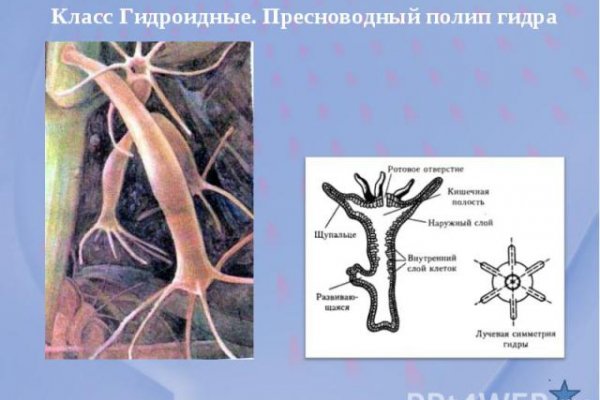 Как зарегаться на кракене