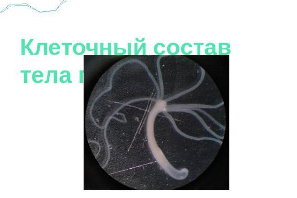 Kraken зеркало рабочее