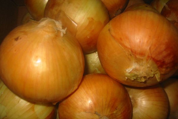 Кракен kr2web in магазин