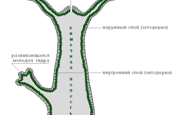 Кракен найдется все что это