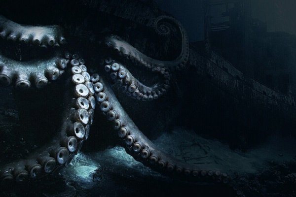 Kit kraken официальный сайт