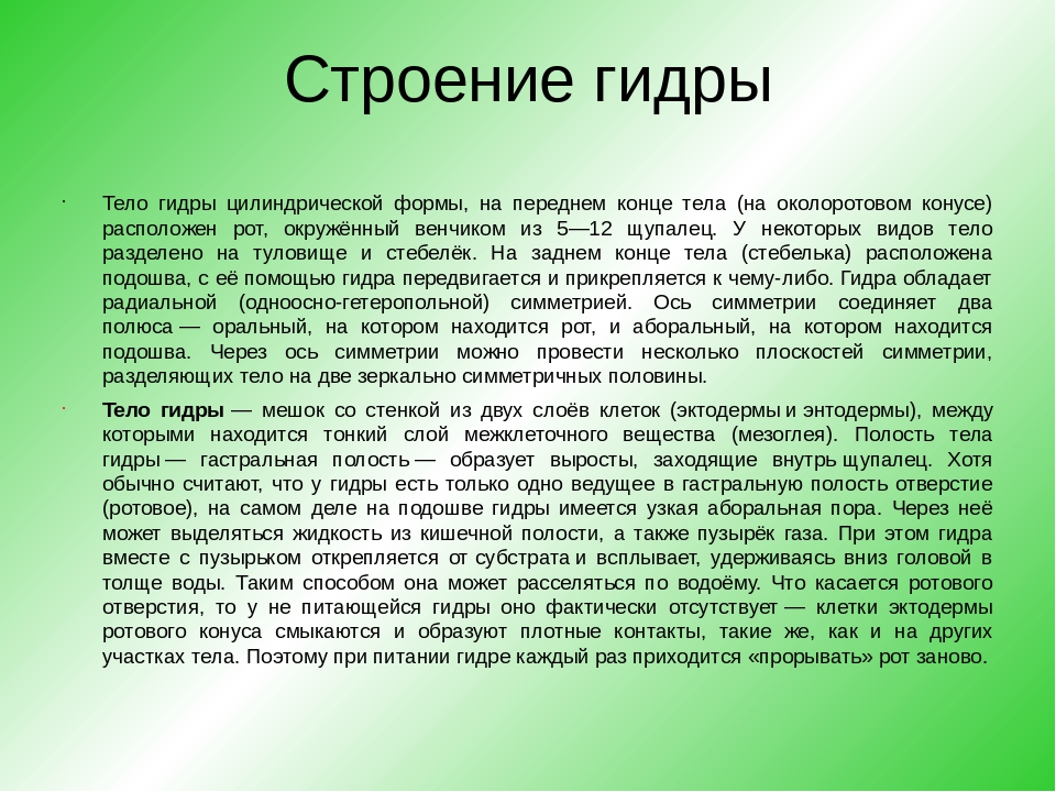 Кракен ссылка на сайт